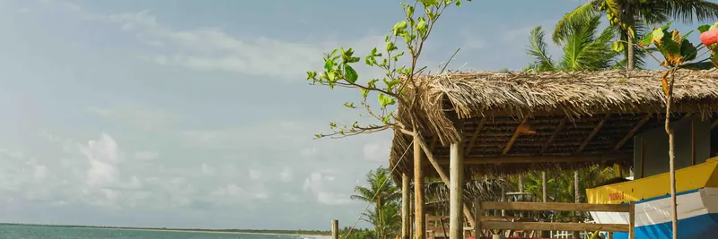 The Sacred Fig Brazil Retreat, caraiva, Brazil