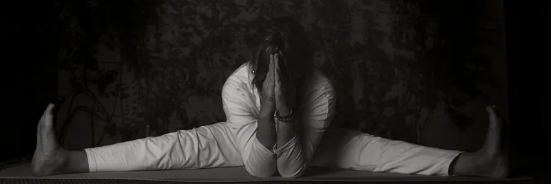 Iyengar Yoga - Iniciado/ Geral presencial & Online by Sandra, Online