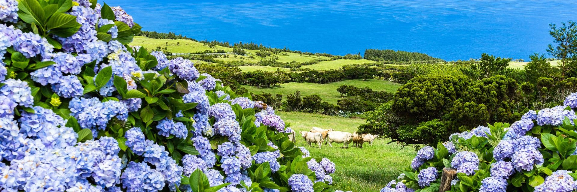 Azores Wellbeing Adventure by Gret, Acores, Portugal