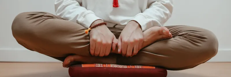Aula de Meditacao com Jose, Online