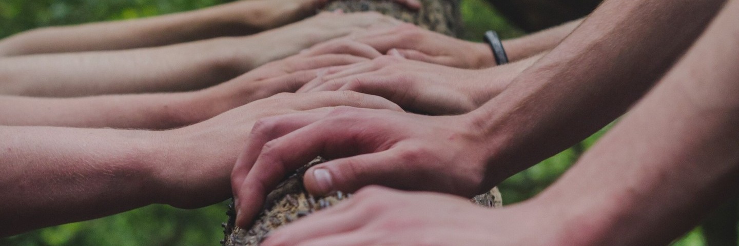 Banner Image