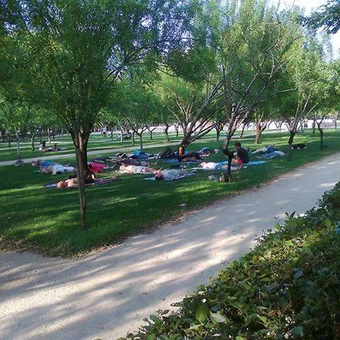 Buho Zen, Mindfulness Meditation, Madrid, Spain