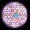 Dharma, Sound Healing Meditation, Alicante, Spain