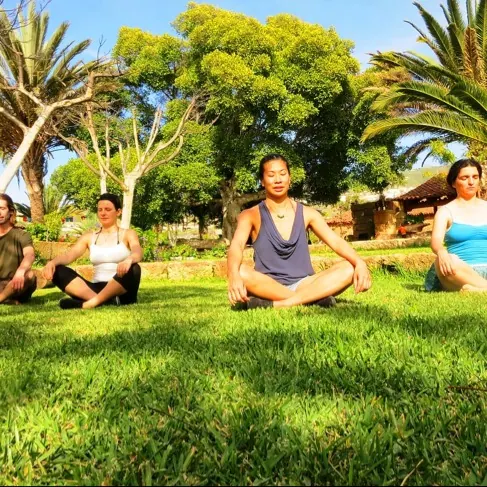 Tai Chi Tenerife, Qi Gong Meditation, Santa Cruz de Tenerife, Spain