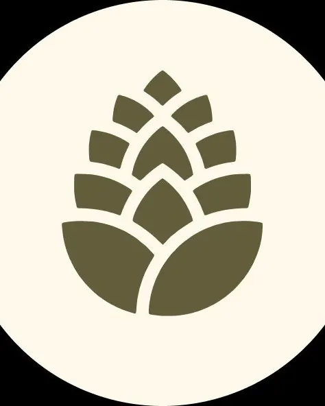 Quinta da Pinha, Vinyasa Yoga, Sesimbra, Portugal