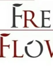Free Flow Yoga, Aerial Yoga, Porto, Portugal